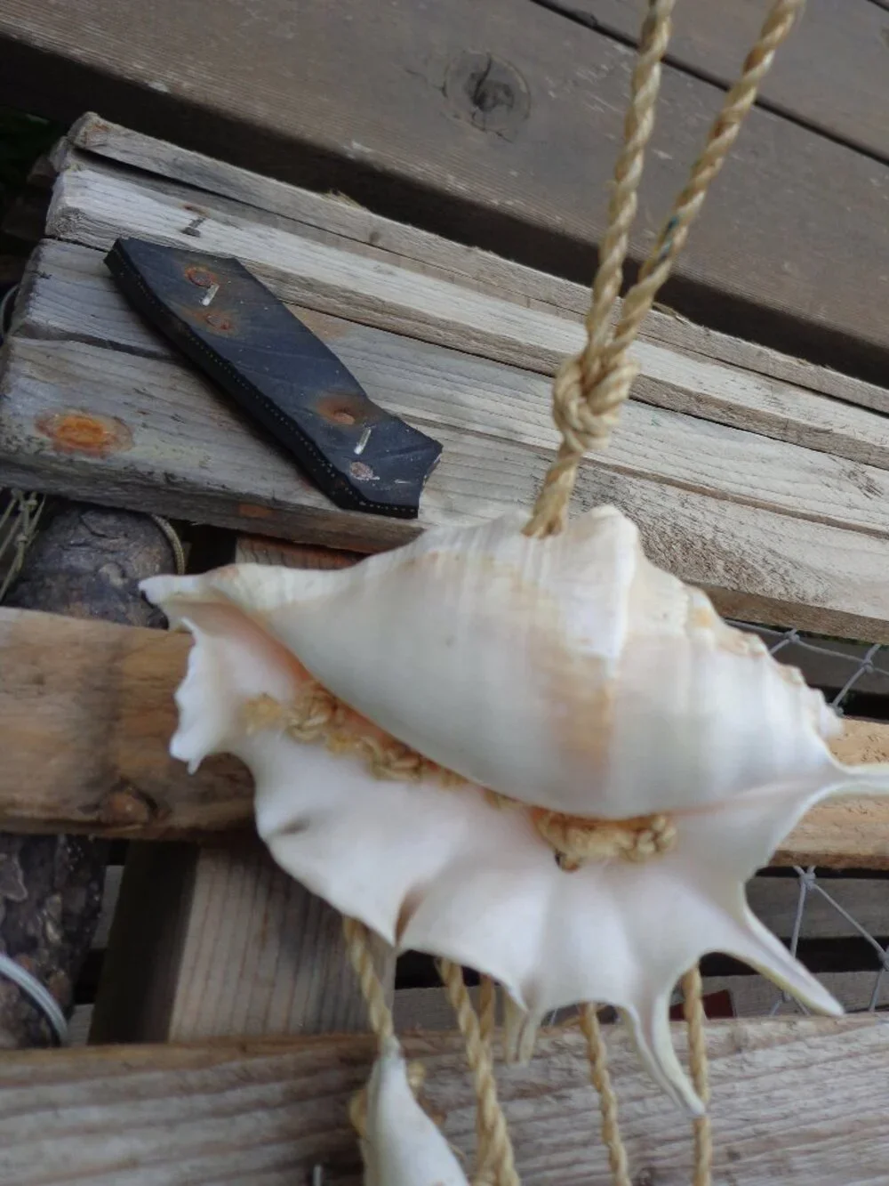 Sea Shells/Rope Wind Chime Nautical Coastal Authentic Various Shells 32